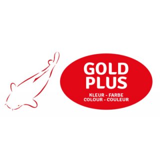 Takazumi Koi-Futter 1,0 KG Gold Plus - Ganzjahres Futter ab 5°C